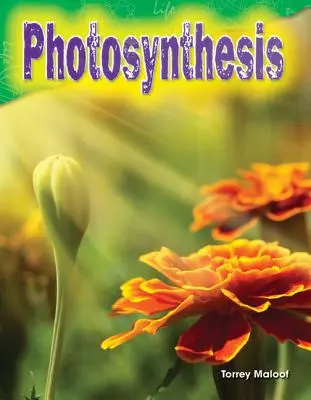 Fotosinteza - Photosynthesis