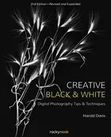 Creative Black and White: Sfaturi și tehnici de fotografie digitală - Creative Black and White: Digital Photography Tips and Techniques