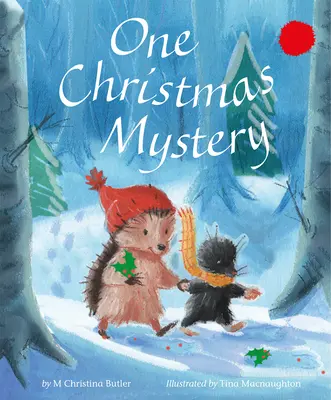 Un mister de Crăciun - One Christmas Mystery