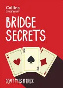 Secretele podului - Bridge Secrets
