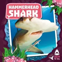 Rechinul ciocan - de la dinți la coadă - Hammerhead Shark - Teeth to Tail