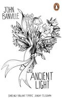 Lumina antică - Ancient Light