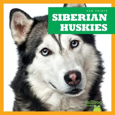 Huskies siberieni - Siberian Huskies