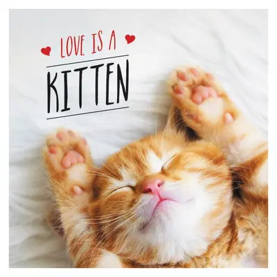 Dragostea este un pisoi: Cele mai drăguțe pisicuțe din lume: o sărbătoare a pisicilor - Love Is a Kitten: A Cat-Tastic Celebration of the World's Cutest Kittens