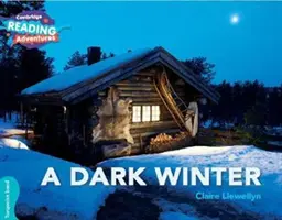 O iarnă întunecată Turcoaz Band - A Dark Winter Turquoise Band