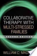 Terapia colaborativă cu familiile multistresate - Collaborative Therapy with Multi-Stressed Families
