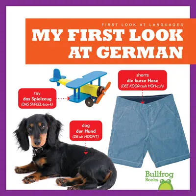 Prima mea privire asupra limbii germane - My First Look at German