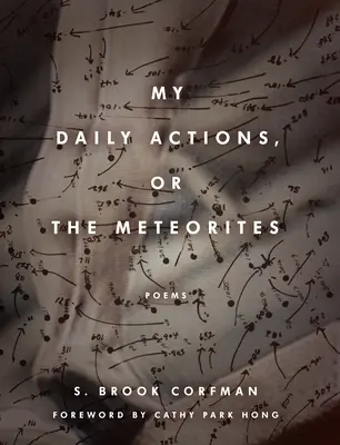 Acțiunile mele zilnice, sau meteoriții - My Daily Actions, or the Meteorites