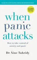 Când atacurile de panică - Cum să preiei controlul asupra anxietății și panicii - When Panic Attacks - How to take control of anxiety and panic