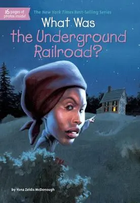 Ce a fost calea ferată subterană? - What Was the Underground Railroad?