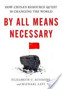 Prin toate mijloacele necesare: Cum schimbă lumea căutarea resurselor de către China - By All Means Necessary: How China's Resource Quest Is Changing the World
