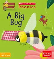 Big Bug (Set 3)