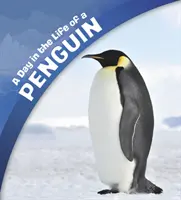 O zi din viața unui pinguin - Day in the Life of a Penguin