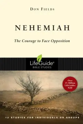 Nehemia: Curaj în fața opoziției - Nehemiah: Courage in the Face of Opposition
