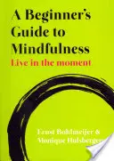 Ghidul unui începător pentru Mindfulness: Trăiește clipa - A Beginner's Guide to Mindfulness: Live in the Moment
