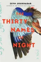 Treizeci de nume ale nopții - Un roman - Thirty Names of Night - A Novel