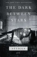 Întunericul dintre stele: Poezii - The Dark Between Stars: Poems