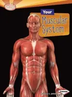 Sistemul tău muscular - Your Muscular System