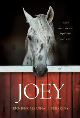 Joey: Cum un cal de salvare orb i-a ajutat pe alții să învețe să vadă - Joey: How a Blind Rescue Horse Helped Others Learn to See