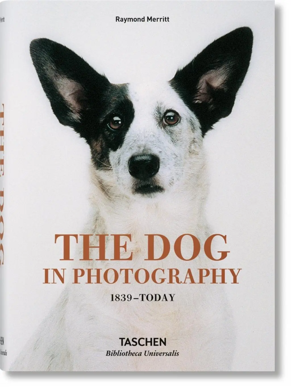 Câinele în fotografie 1839-azi - The Dog in Photography 1839-Today