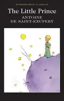 Micul Prinț - Little Prince