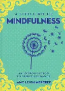 Un pic de mindfulness, 13: O introducere în a fi prezent - A Little Bit of Mindfulness, 13: An Introduction to Being Present