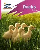 Reading Planet: Rocket Phonics - Target Practice - Rațe - Roz B - Reading Planet: Rocket Phonics - Target Practice - Ducks - Pink B