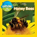 Explorați lumea mea: Albine de miere - Explore My World: Honey Bees