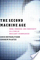 A doua epocă a mașinilor: Muncă, progres și prosperitate într-o epocă a tehnologiilor geniale: The Second Machine Age: Work, Progress, and Prosperity in a Time of Brilliant Technologies - The Second Machine Age: Work, Progress, and Prosperity in a Time of Brilliant Technologies