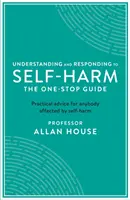 Înțelegerea și reacția la autoagresiune: Ghidul unic: Sfaturi practice pentru orice persoană afectată de autoagresiune - Understanding and Responding to Self-Harm: The One Stop Guide: Practical Advice for Anybody Affected by Self-Harm