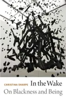 In the Wake: Despre negritate și ființă - In the Wake: On Blackness and Being