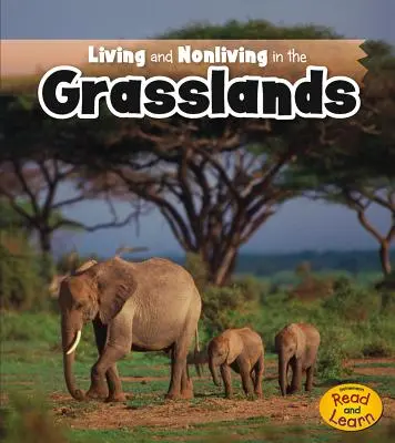Viața și non-viața în pășuni - Living and Nonliving in the Grasslands