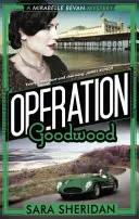 Operațiunea Goodwood - Operation Goodwood