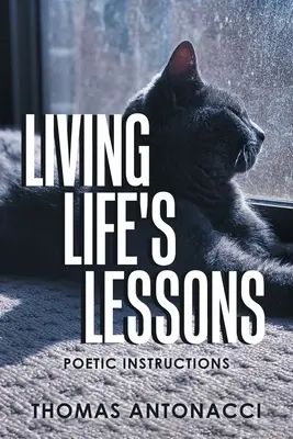 Lecții de viață: Instrucțiuni poetice - Living Life's Lessons: Poetic Instructions