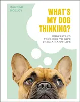 Ce gândește câinele meu? - Înțelege-ți câinele pentru a-i oferi o viață fericită - What's My Dog Thinking? - Understand Your Dog to Give Them a Happy Life