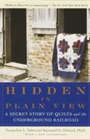 Ascuns în văzul tuturor: O poveste secretă despre cuverturi și calea ferată subterană - Hidden in Plain View: A Secret Story of Quilts and the Underground Railroad
