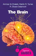 Creierul - The Brain