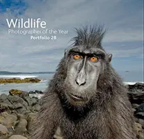 Fotograful de animale sălbatice al anului: Portofoliul 28 - Wildlife Photographer of the Year: Portfolio 28