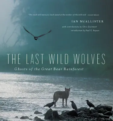 Ultimii lupi sălbatici: Fantomele pădurii tropicale - The Last Wild Wolves: Ghosts of the Rain Forest