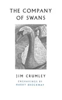 The Company of Swans (Compania lebedelor) - The Company of Swans