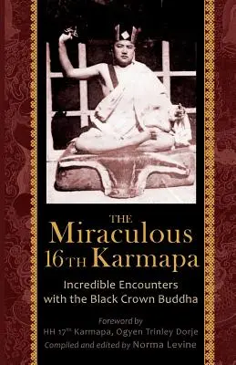 Miraculosul al 16-lea Karmapa - The Miraculous 16th Karmapa
