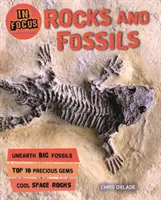 In Focus: Stânci și fosile - In Focus: Rocks and Fossils
