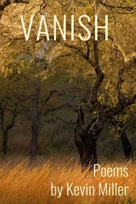 Dispari - Vanish