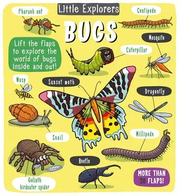 Micii exploratori: Bugs - Little Explorers: Bugs