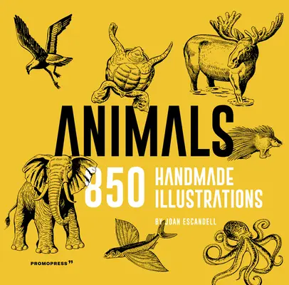 Animale: 850 de ilustrații realizate manual - Animals: 850 Handmade Illustrations