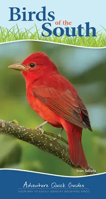 Birds of the South: Calea ta de a identifica cu ușurință păsările din curtea casei - Birds of the South: Your Way to Easily Identify Backyard Birds