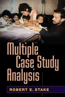 Analiza studiilor de caz multiple - Multiple Case Study Analysis