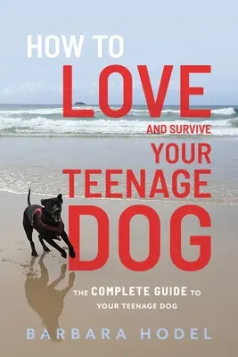 Cum să-ți iubești și să-ți supraviețuiești câinele adolescent - How to Love and Survive Your Teenage Dog