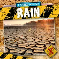 Ploaia - Rain
