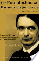 Misterul inimii: Fiziologia sacramentală a inimii în Aristotel, Thomas Aqinas și Rudolf Steiner - The Mystery of the Heart: The Sacramental Physiology of the Heart in Aristotle, Thomas Aqinas, and Rudolf Steiner